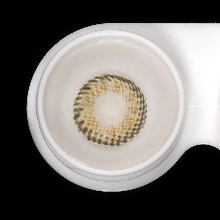 DNA Taylor Brown Hazal | 1 Year