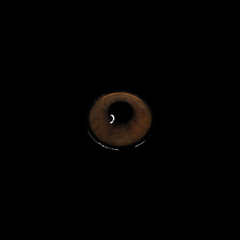 Polar Lights Brown | 1 Year