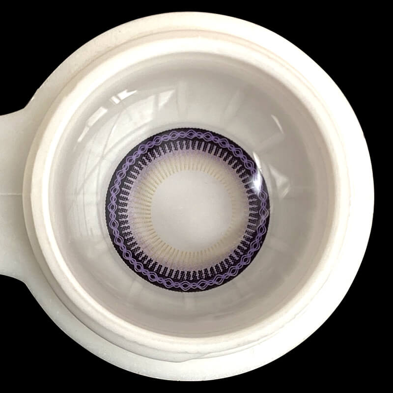 【New】Ferris Wheel Purple | 1 Year