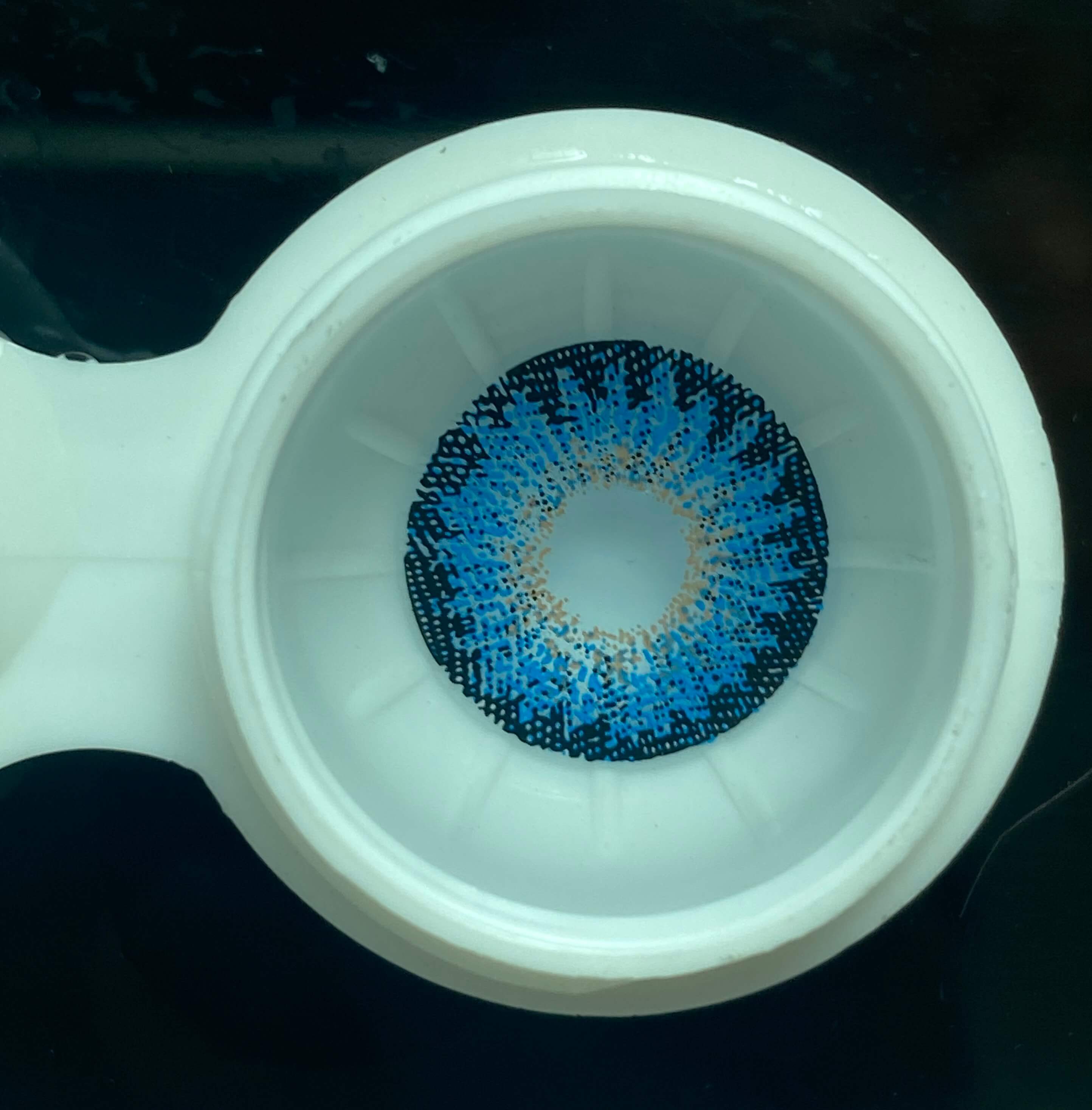 【New】Forest Ember Blue | 1 Year