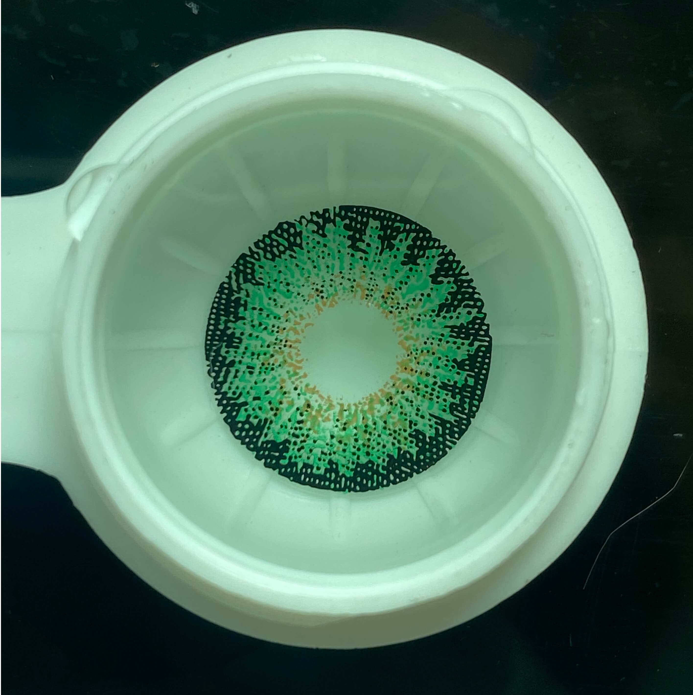 【New】Forest Ember Green | 1 Year