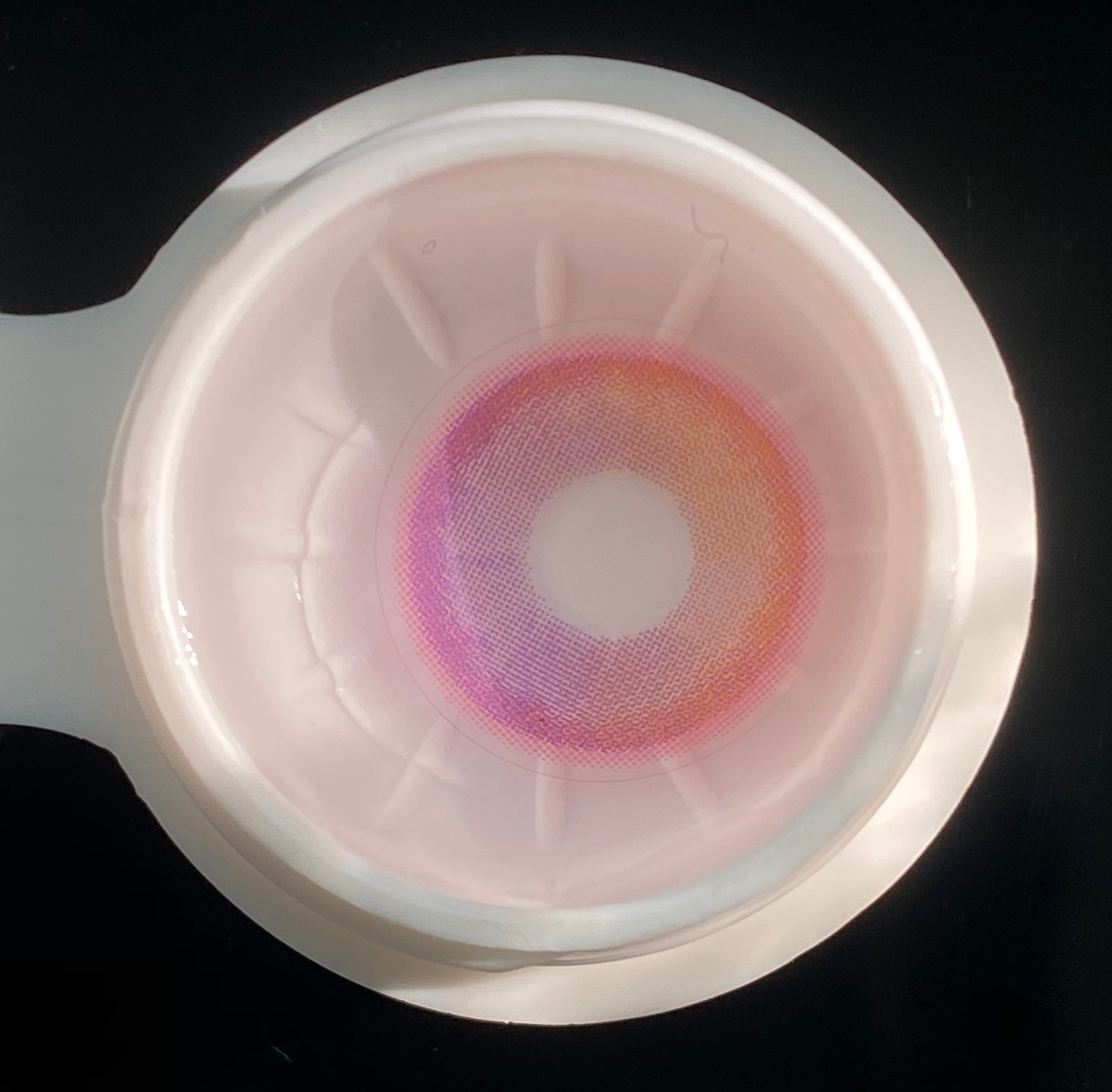 [New] Hawaii Orange | 1 Year