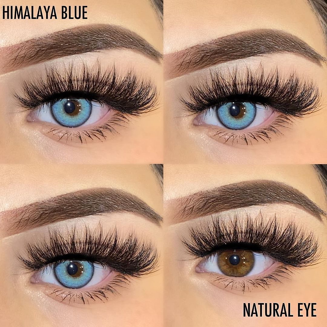 Himalaya Blue | 1 Year