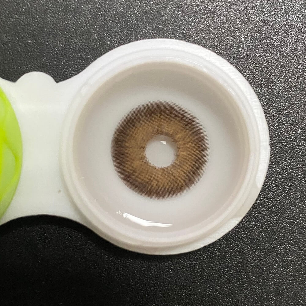 【2023 New】Pattaya Brown | 1 Year