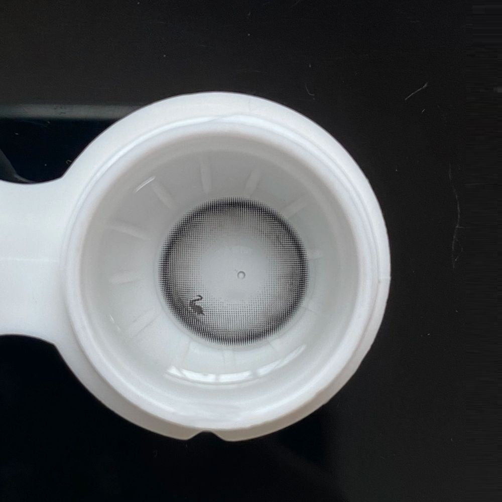 [New] Swan Gray | 1 Year