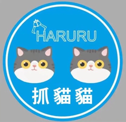 抓貓貓