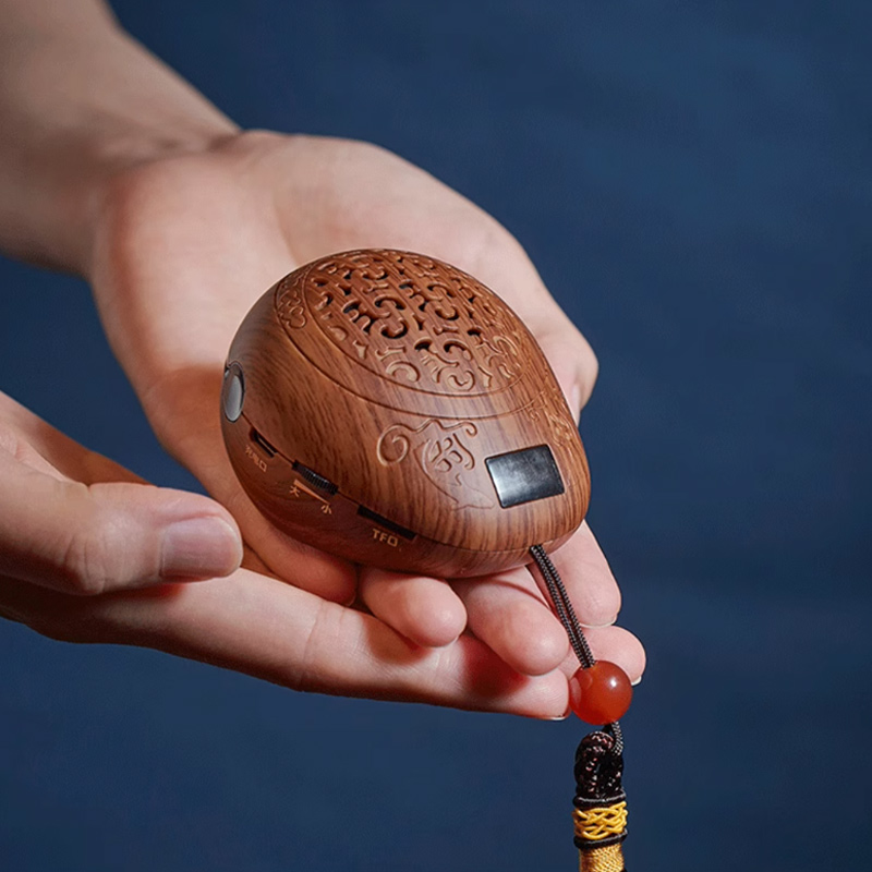 Premium Virtuous Music Player, Rechargeable with Loop Playback