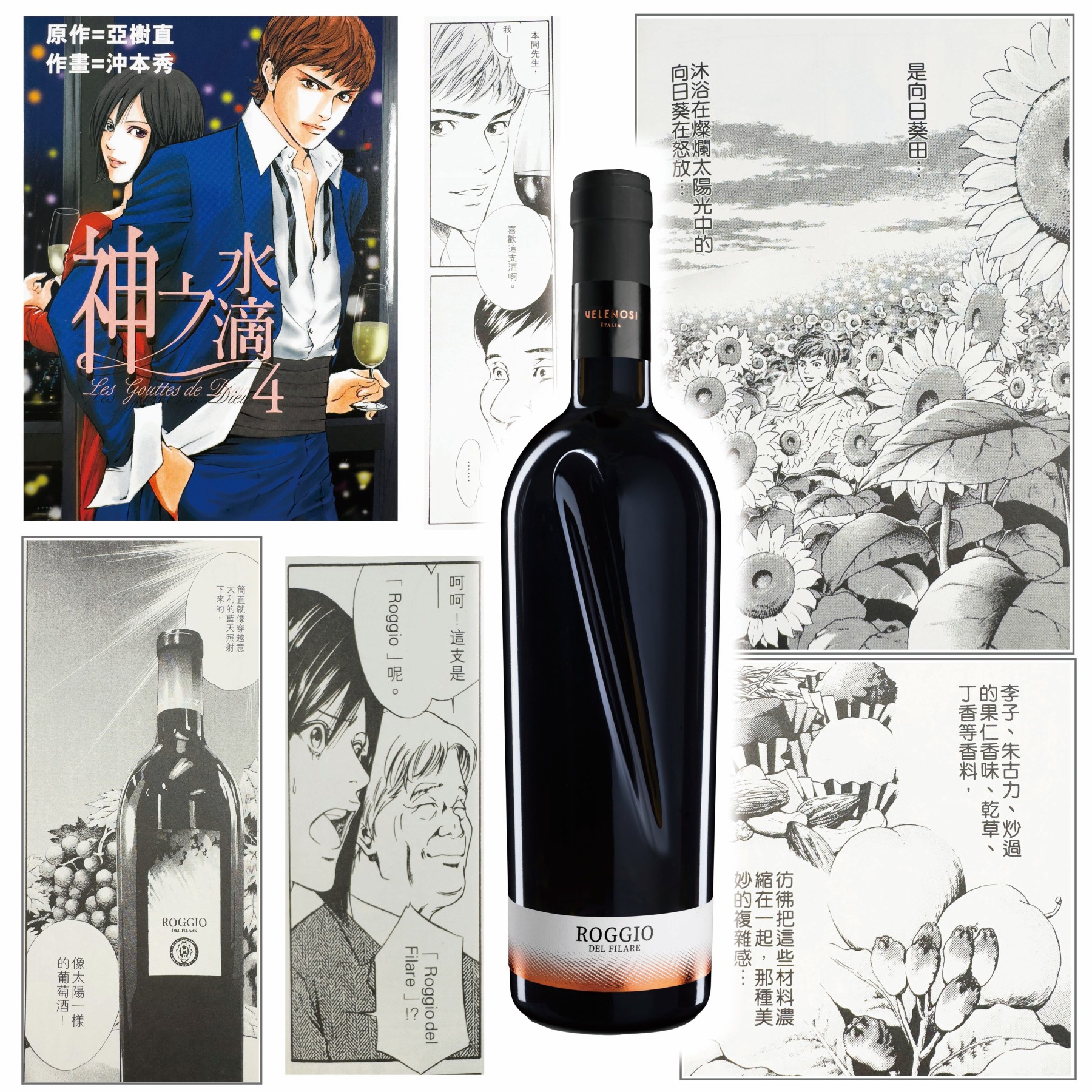 Roggio Del Filare, Rosso Piceno DOC Superiore