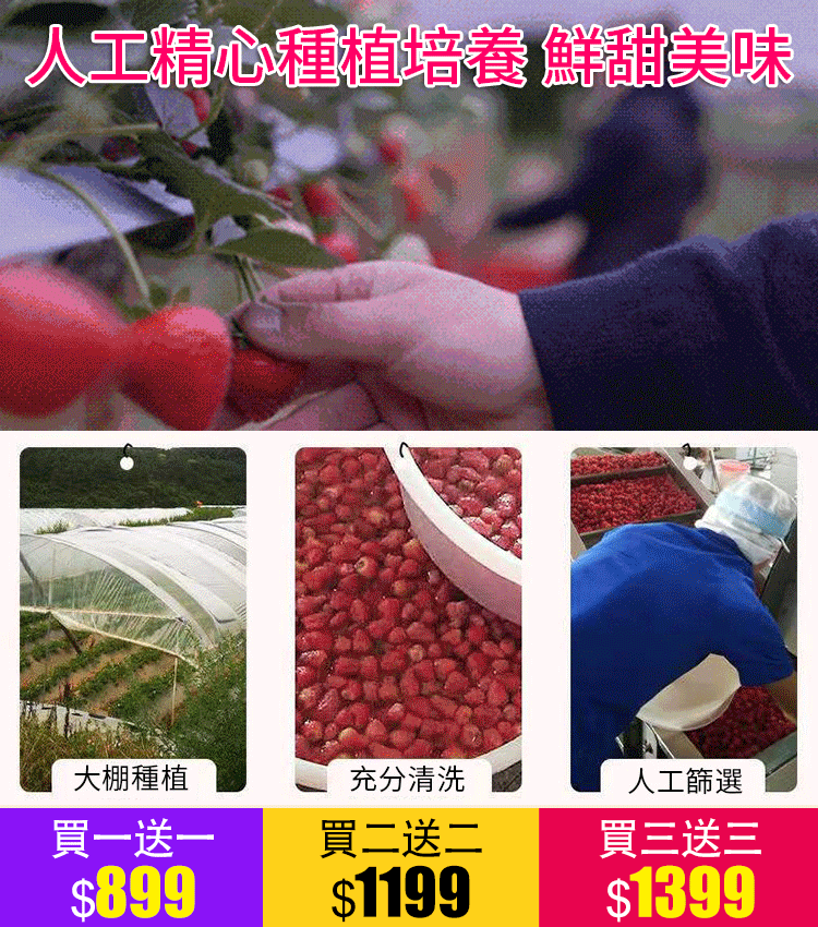 【官方站】異域珍果草莓乾