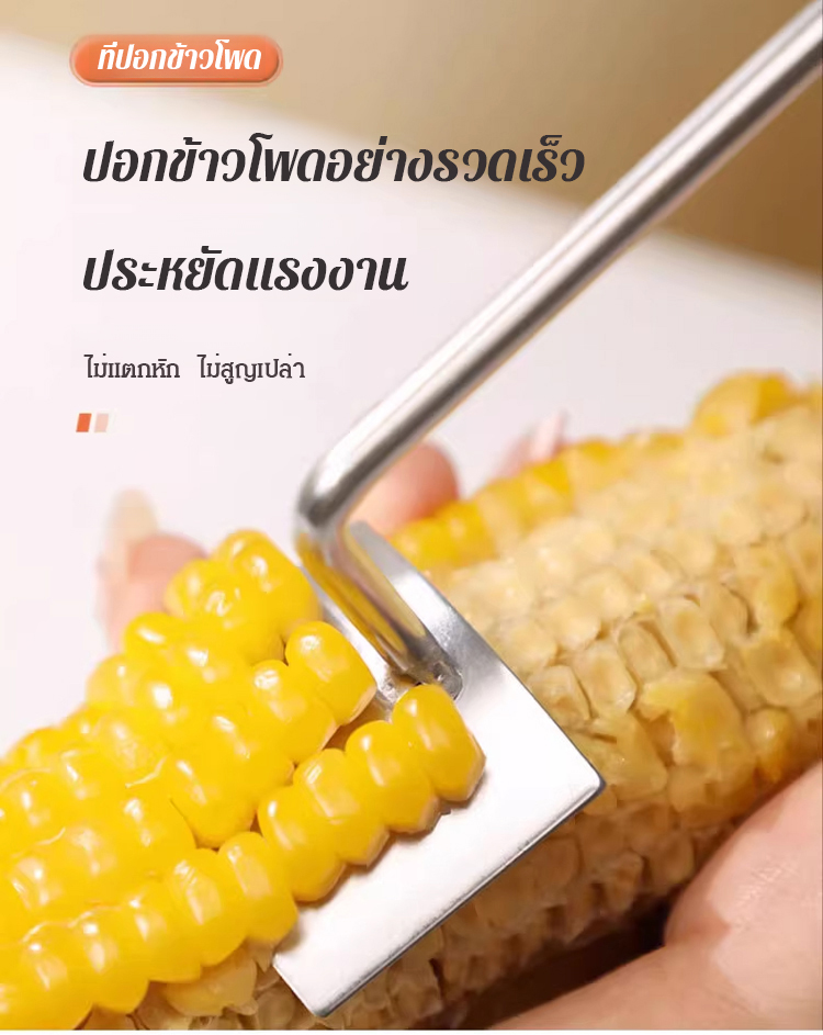 1_01.jpg