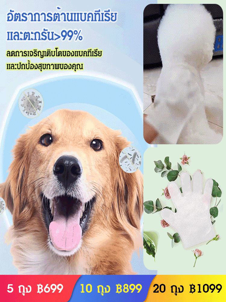(ครั้งละชิ้น เท่ากับอาบน้ำ)ทิชชู่เปียกเช็ดตัวสัตว์เลี้ยง แบบถุงมือ แบบใช้แล้วทิ้ง
