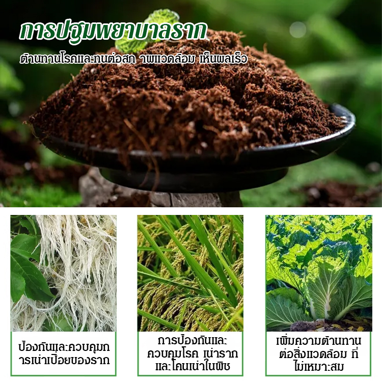 【เพิ่มผลผลิต 3 เท่า】สารเร่งรากและป้องกันการเน่า