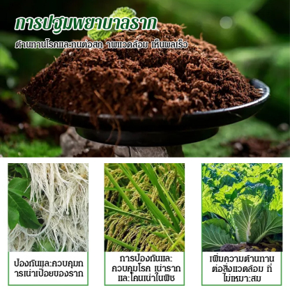 【เพิ่มผลผลิต 3 เท่า】สารเร่งรากและป้องกันการเน่า