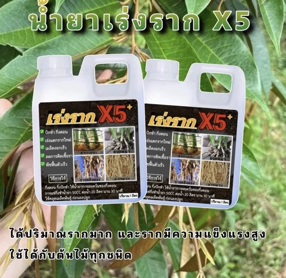 【เพิ่มผลผลิต 3 เท่า】สารเร่งรากและป้องกันการเน่า