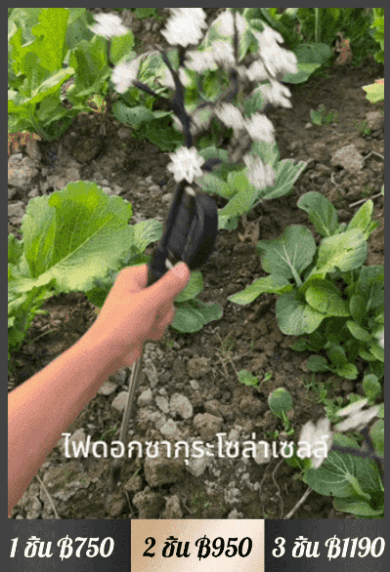 【ซากุระที่ไม่มีวันร่วงโรย】โคมไฟดอกซากุระพลังงานแสงอาทิตย์สร้างบรรยากาศโรแมนติก