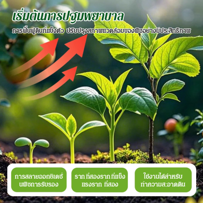 【เพิ่มผลผลิต 3 เท่า】สารเร่งรากและป้องกันการเน่า