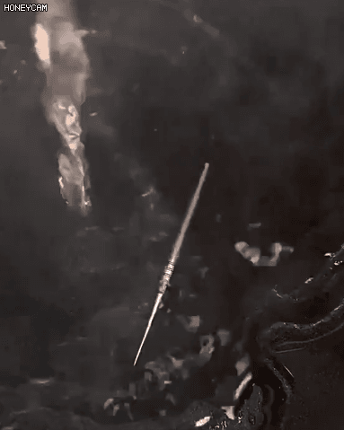 翻译_23+.gif