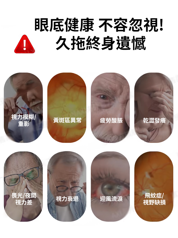【護眼天花板】杞菊田黃決明子片
