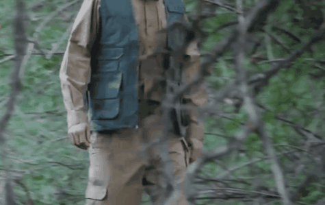 1551254314242_475x299.gif
