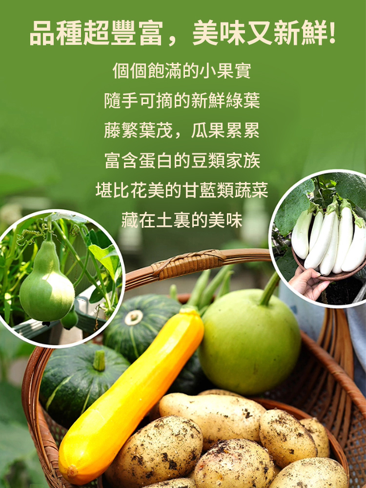零經驗種出健康好蔬菜
