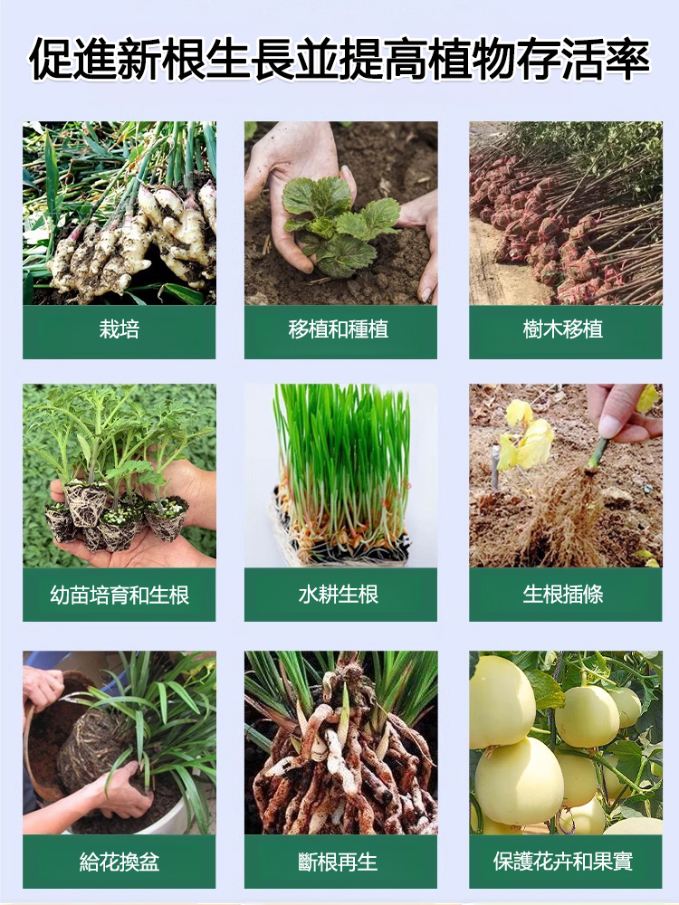 【通用型】植物再生劑