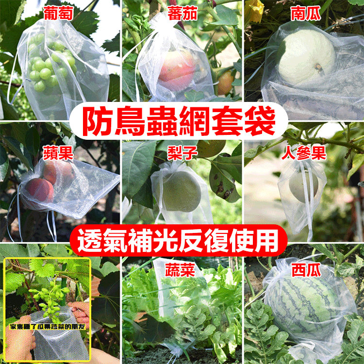 防蟲防鳥瓜果透氣網袋