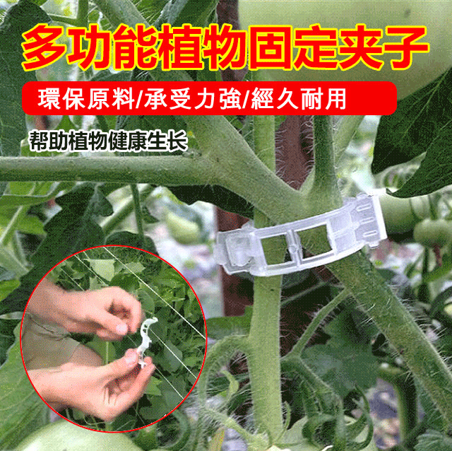 植物支撐夾藤蔓固定夾子