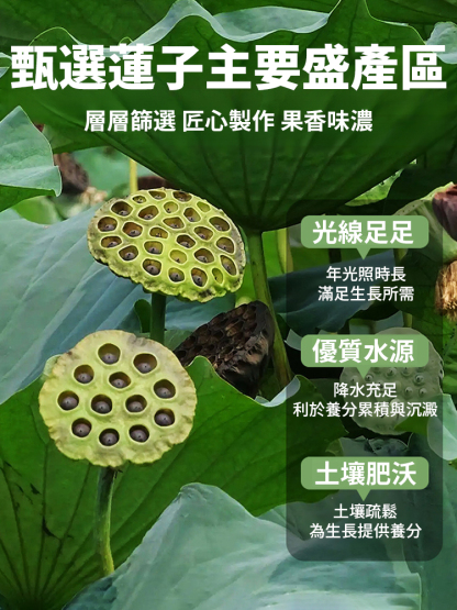 【養肝補腎】香酥去芯蓮子脆