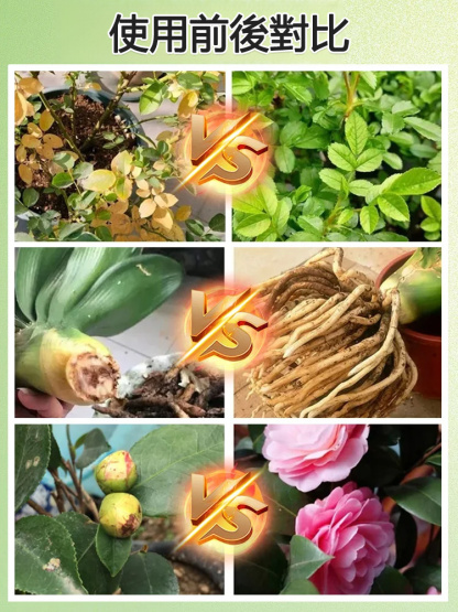 【通用型】植物再生劑