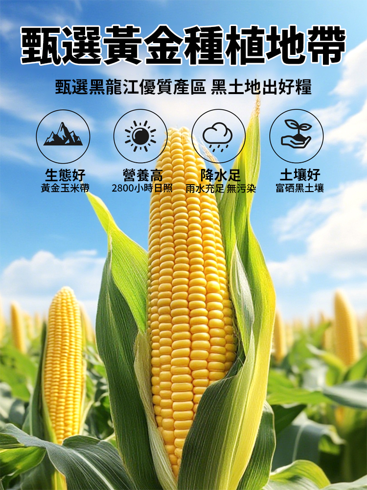 特優級香糯玉米碴