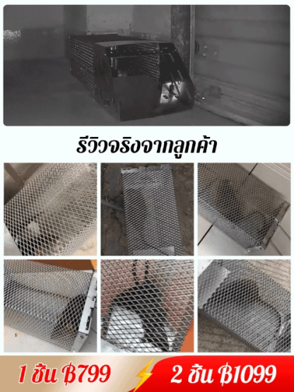 【1 คืนจับ 1 รัง】กับดักหนูแบบกรง