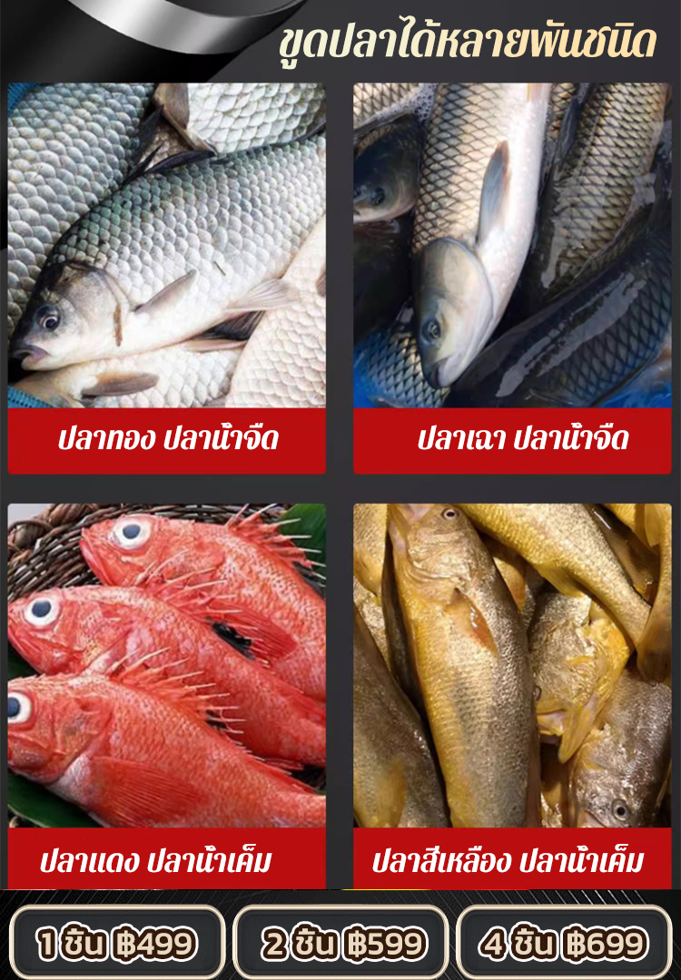 ที่ขอดเกล็ดปลาใช้ในครัวเรือน
