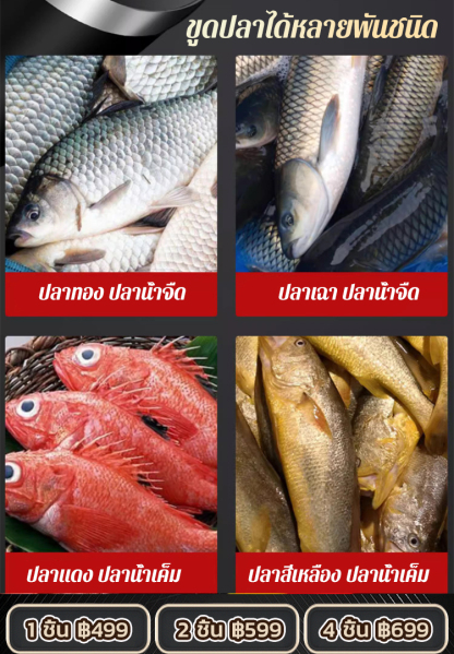 ที่ขอดเกล็ดปลาใช้ในครัวเรือน