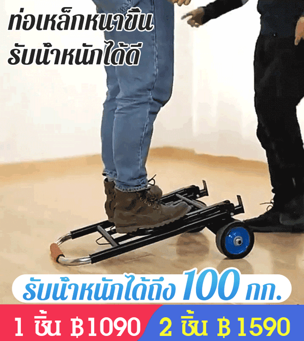 รถเข็นพับได้แบบพกพา
