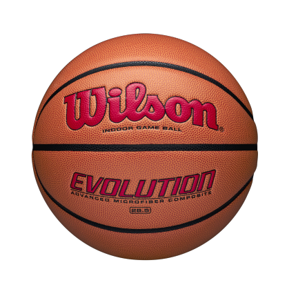 Evolution Game Basketball