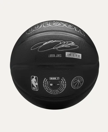 Wilson NBA Nightmode Basketball - Lebron