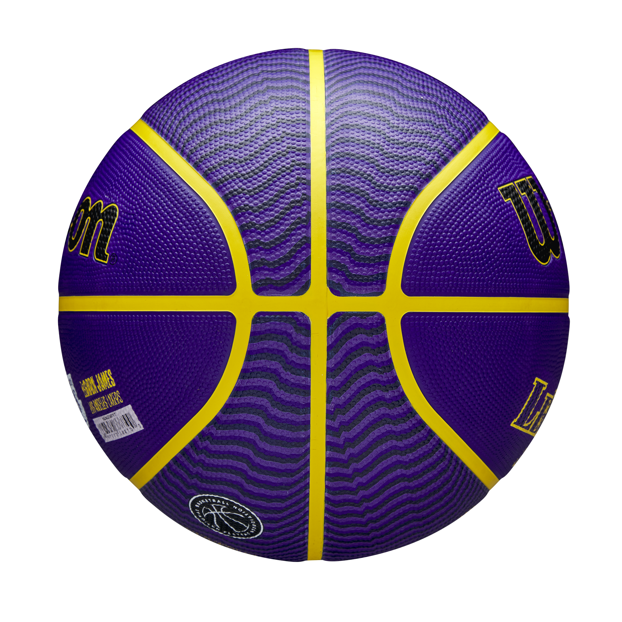 Wilson NBA Player Icon Lebron James Outdoor Basketball