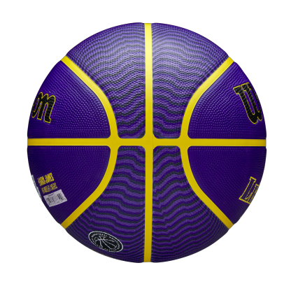 Wilson NBA Player Icon Lebron James Outdoor Basketball