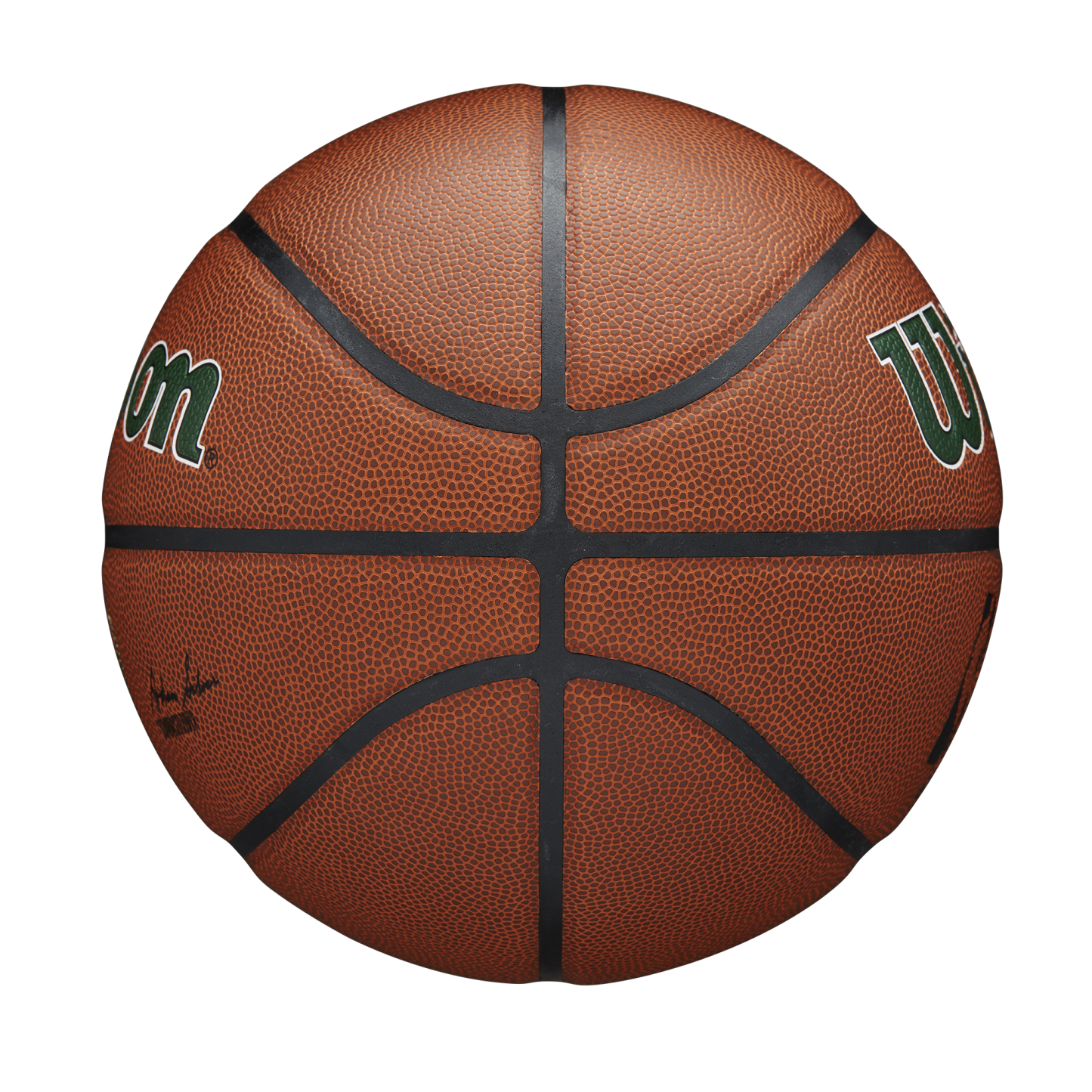 NBA Team Alliance Basketball