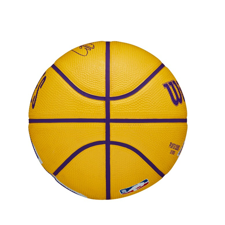 NBA Player Icon Mini Basketball