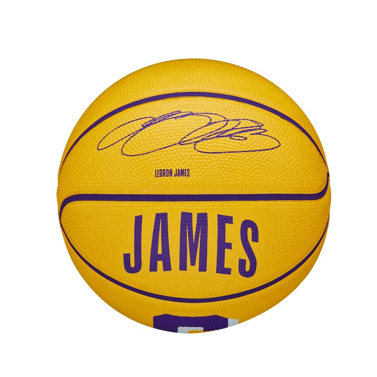 NBA Player Icon Mini Basketball