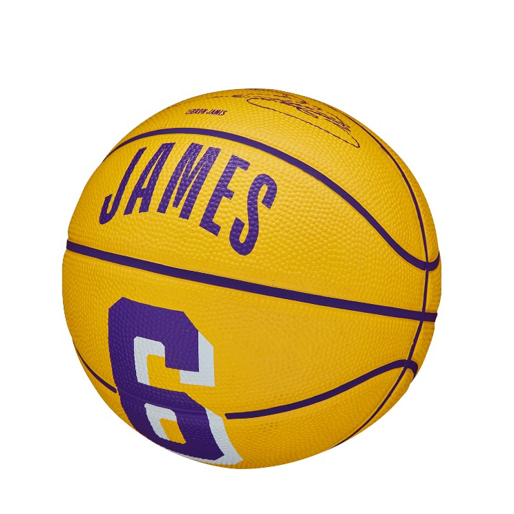 NBA Player Icon Mini Basketball WZ4007201XB3 – Wilson Malaysia