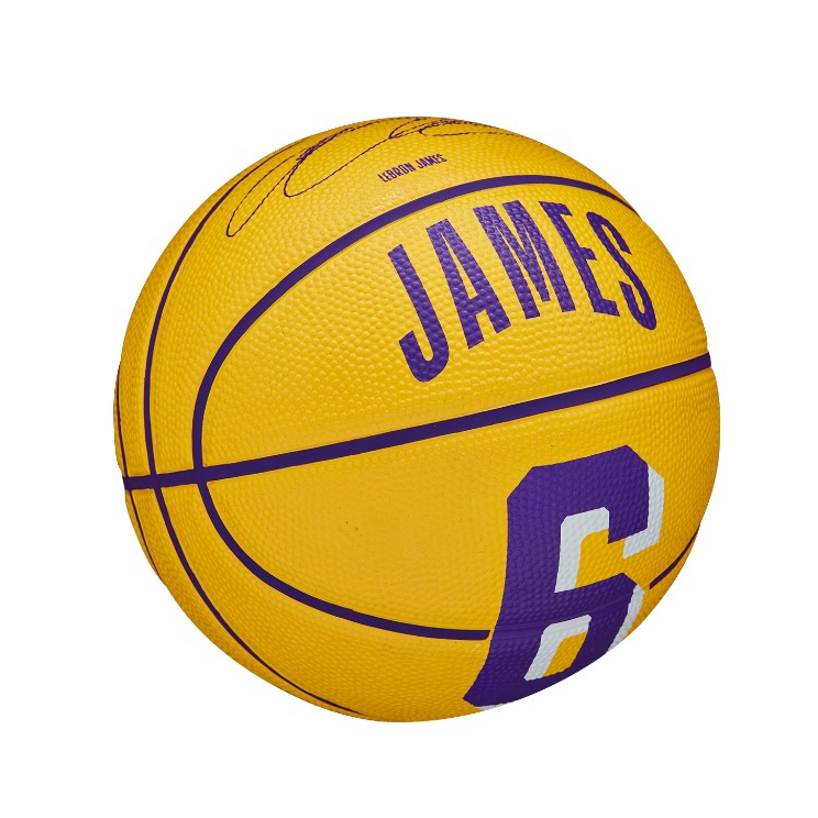 NBA Player Icon Mini Basketball
