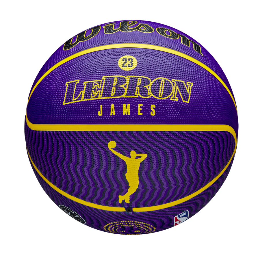 NBA Player Icon Outdoor Basketball Lebron James