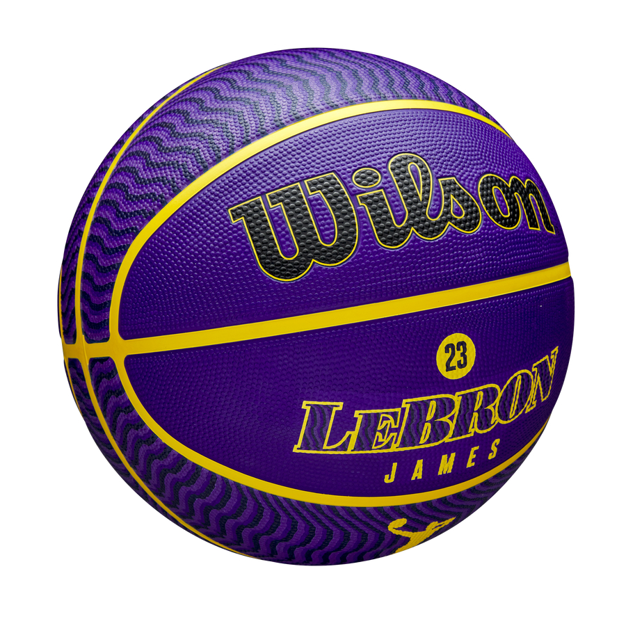 NBA Player Icon Outdoor Basketball Lebron James