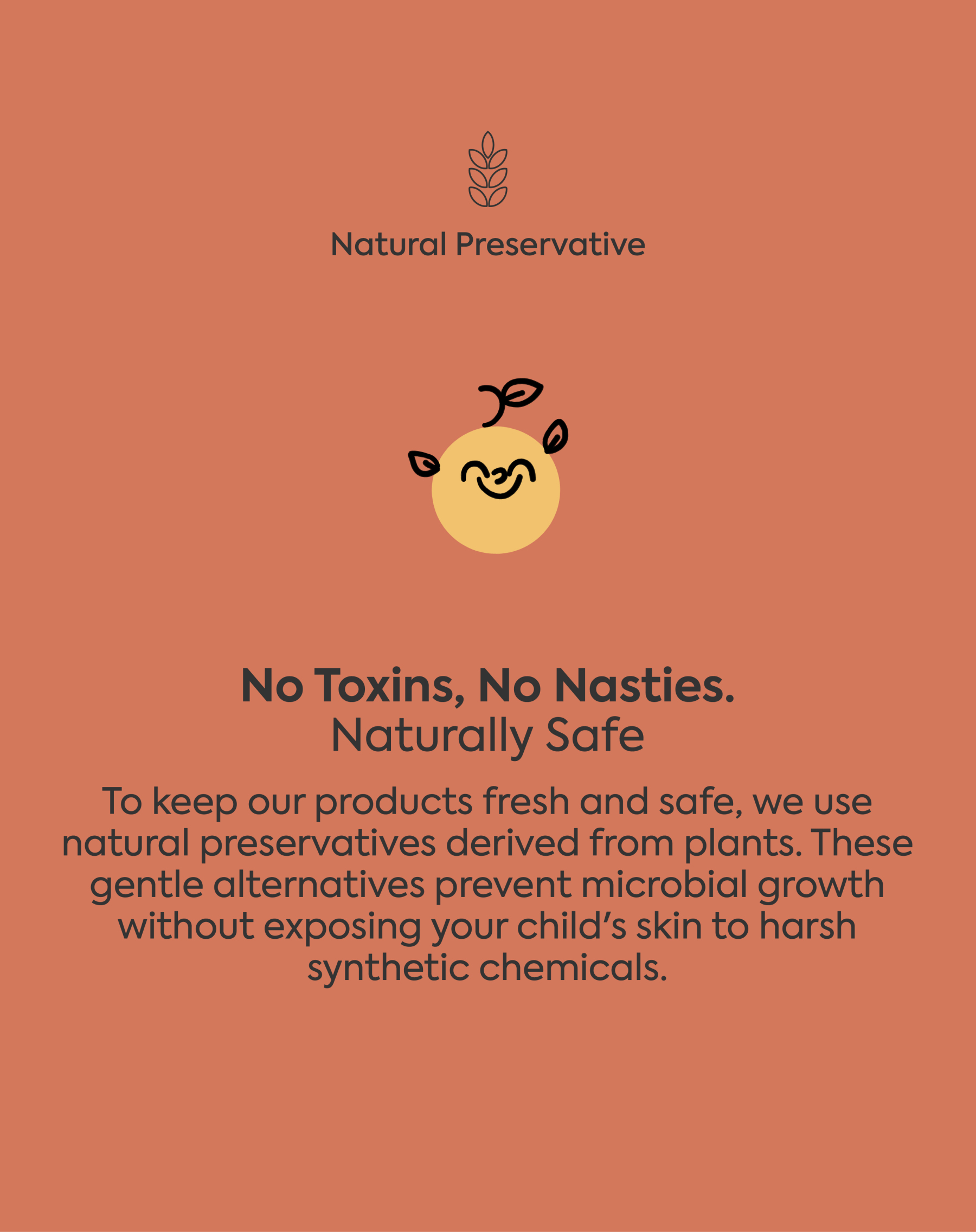 Pocket Mineral Face Lotion-Lulabeam