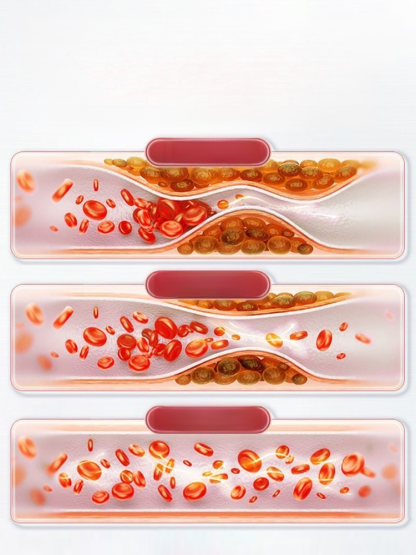 納豆銀杏葉萃取物膠囊