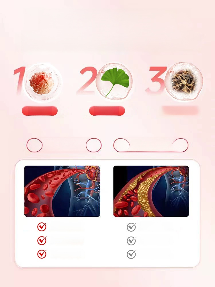 納豆銀杏葉萃取物膠囊