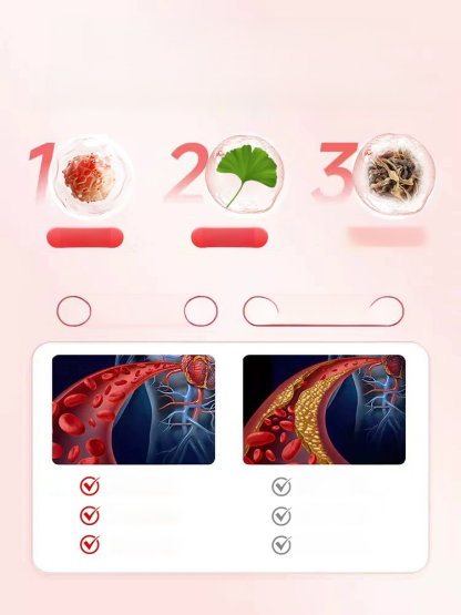 納豆銀杏葉萃取物膠囊