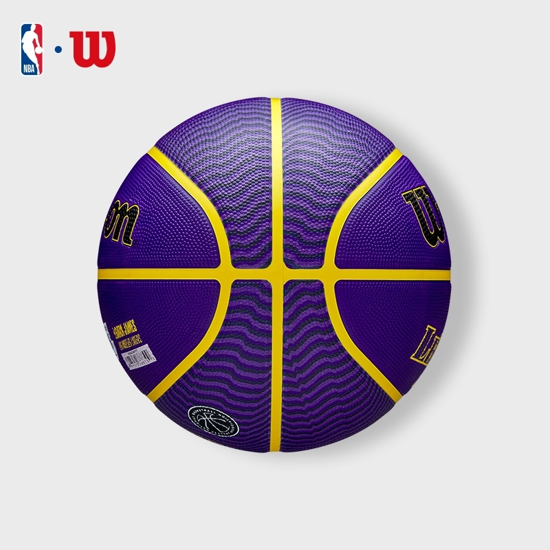 Wilson NBA Player Outdoor Basketball